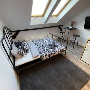  Apartament High Five
